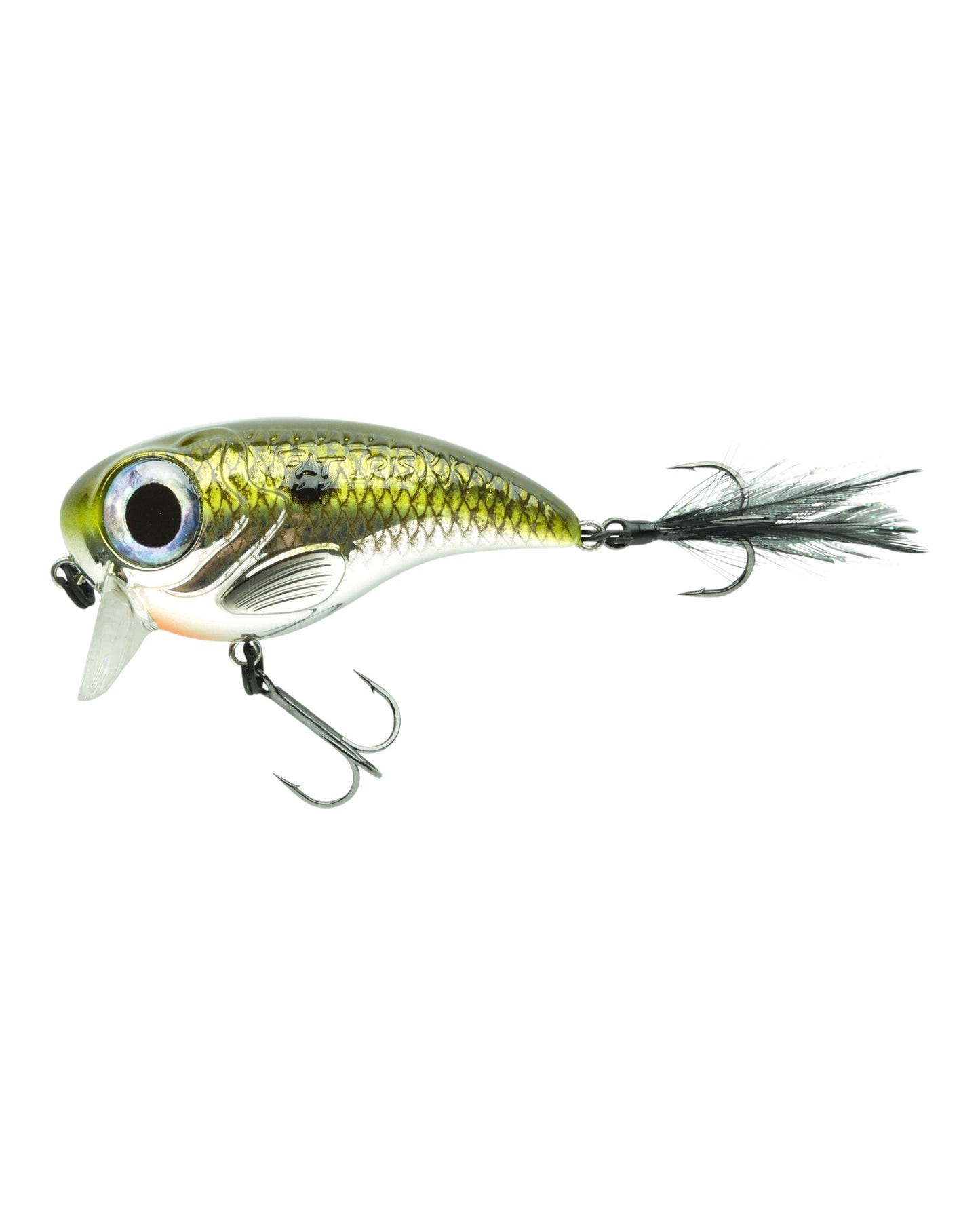 Fat IRIS 60