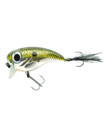 Fat IRIS 60