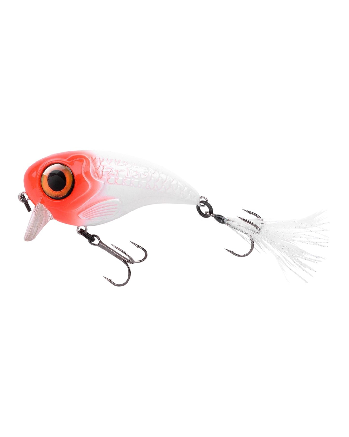 Fat IRIS 60