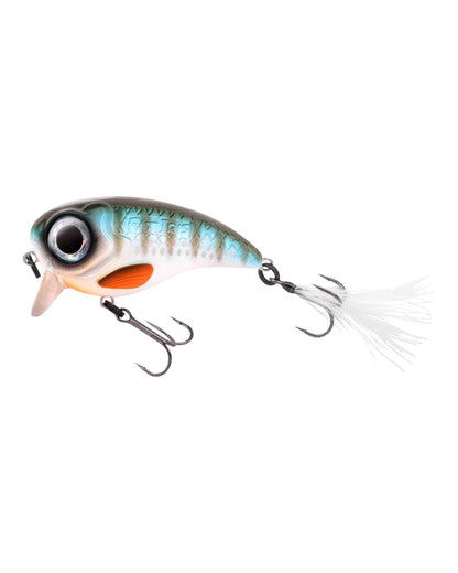 Fat IRIS 60